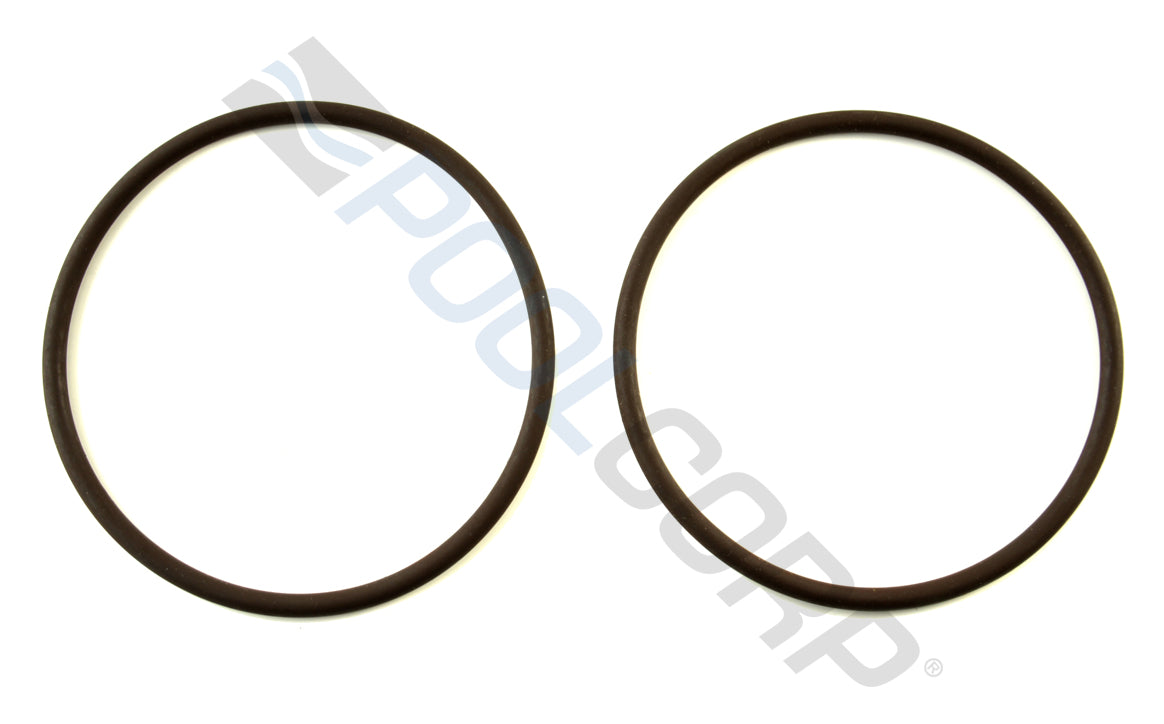 PowerClean Lid O-Ring