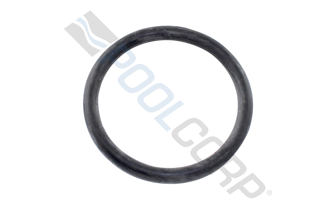 SP0410X Large Piston O-Ring