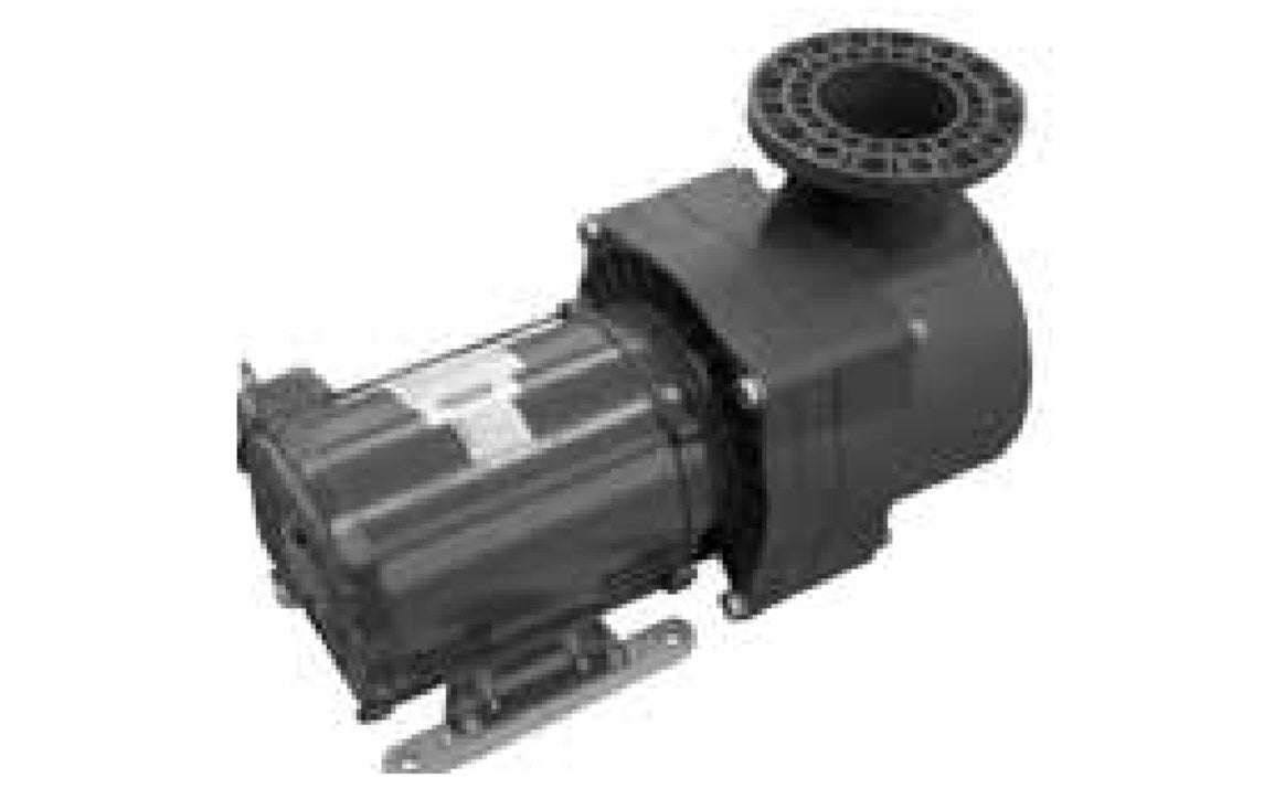 EQ Series Single Phase ODP Pool Pump without Strainer 5HP 230V 20 Amp
