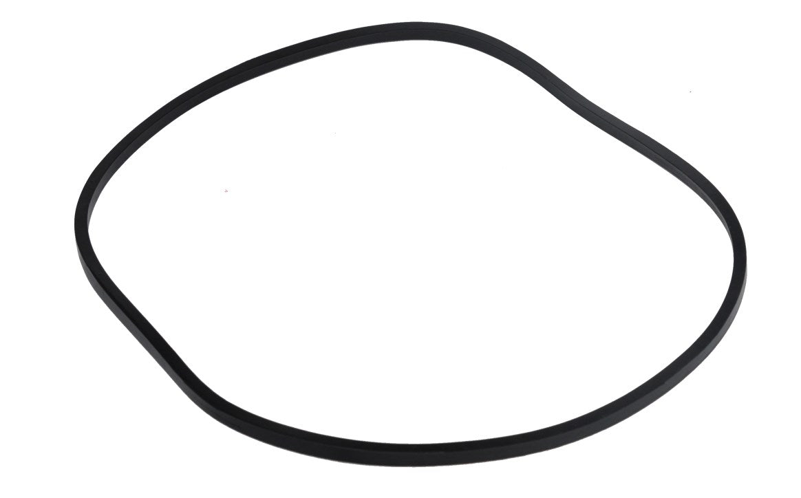 Seal Plate O-Ring for Challenger Pump