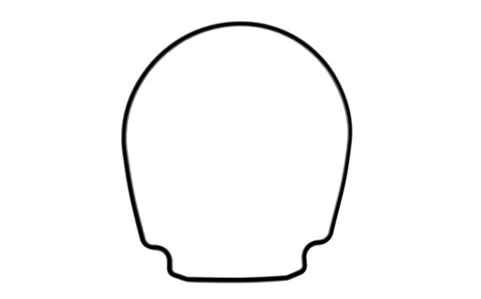 PENTAIR Whisper Seal Plate Gasket