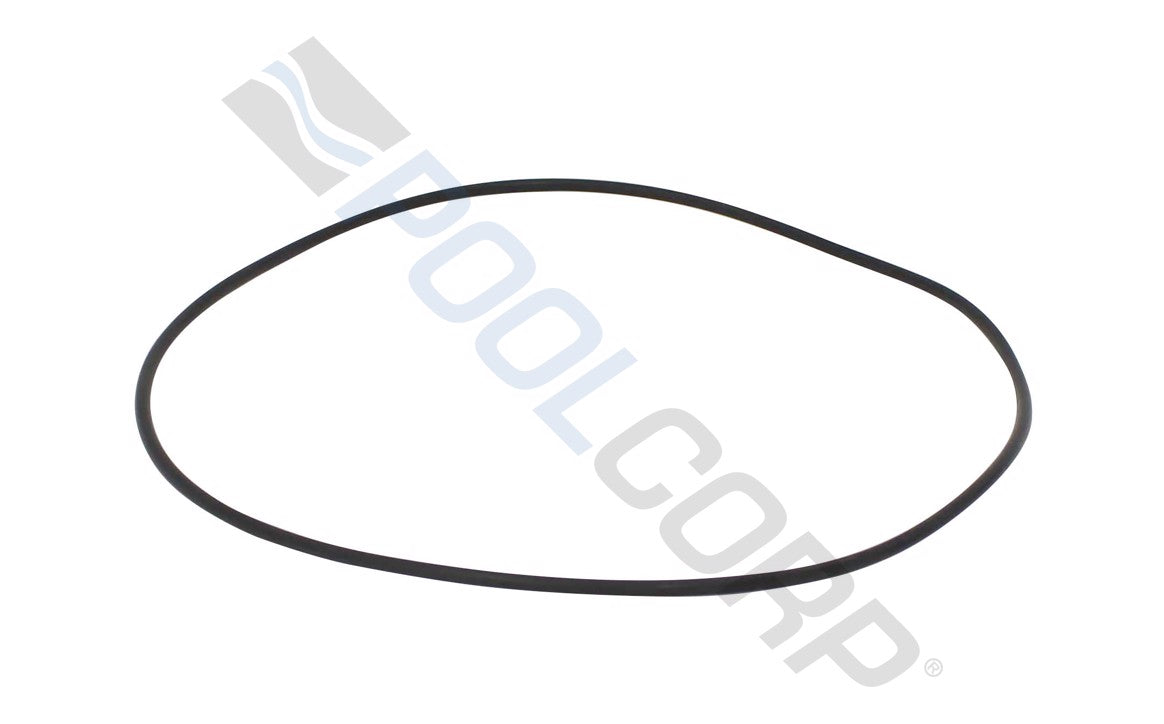 Booster Pump Volute O-Ring