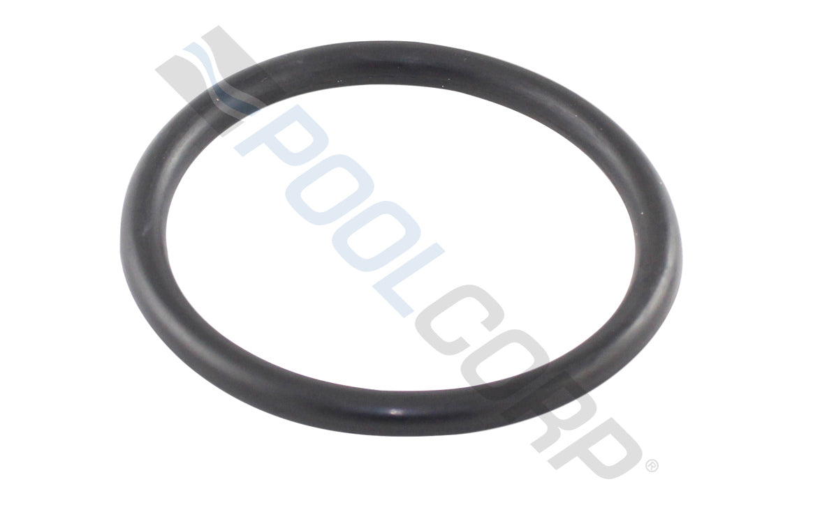 Large Piston and Bulkhead O-Ring
