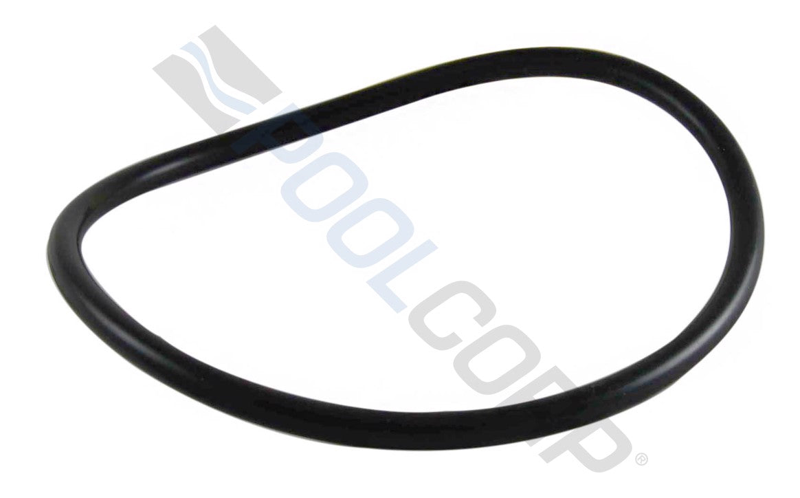 Lid O-Ring for FloPro™ FHPM Series Pumps