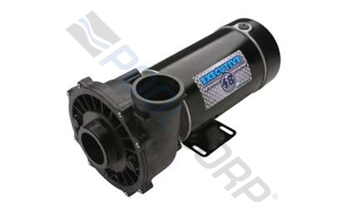 Executive 48 Frame 2 Speed Spa Pump 2 HP 230V