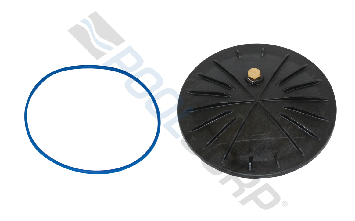Q360 INFLOOR VALVE LID W/ ORING