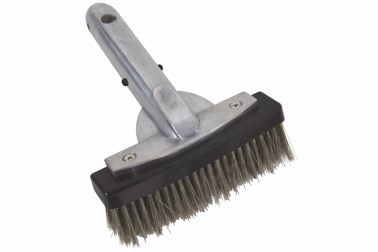 Pentair 6'' Metal Back Stainless Steel Bristle Algae Brush