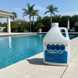HASA 1 Gallon Liquid Chlorine - Local Delivery Only