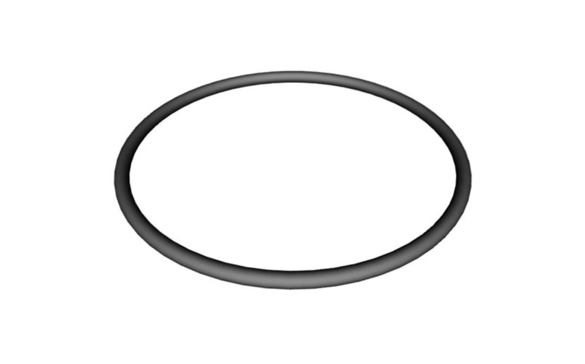 Strainer Cover O-Ring for Super II Pump