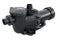 Pool Pumps
