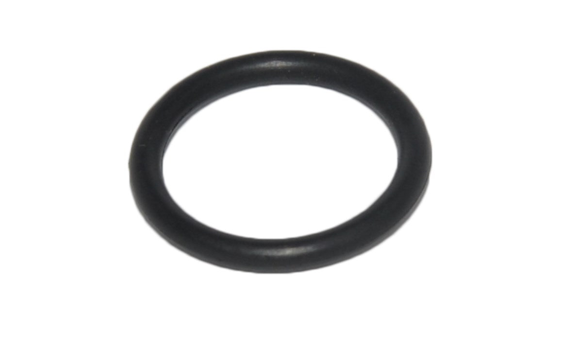 Diverter Valve Shaft O-ring