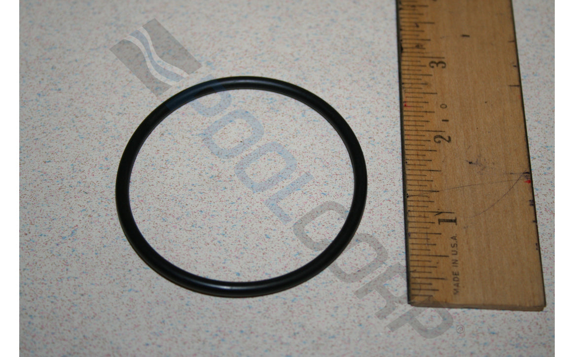 Strainer Pot Flange O-Ring