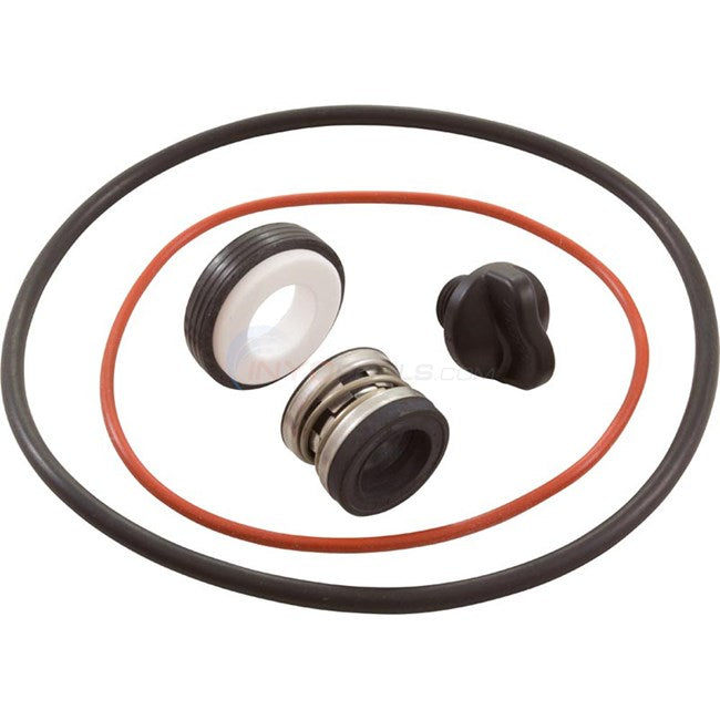 Pump Seal Kit for PB4SQ
